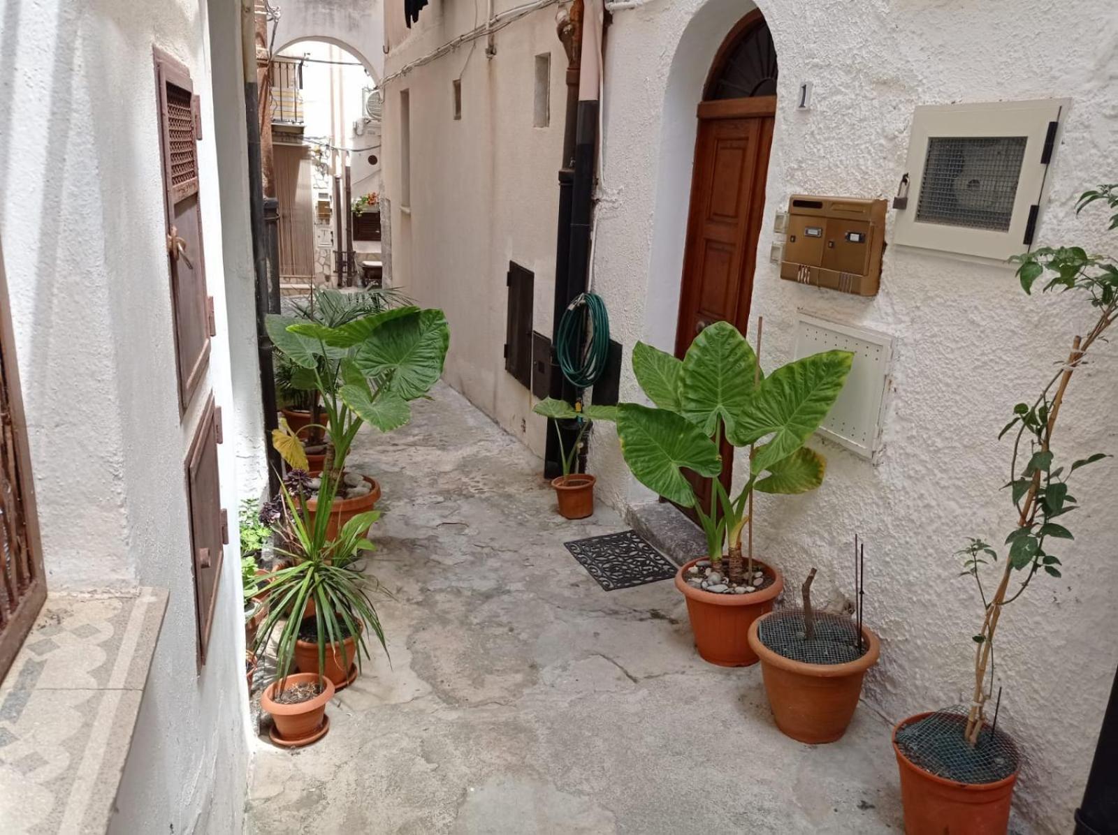 Cortile Maggiore Home เชฟาลู ภายนอก รูปภาพ